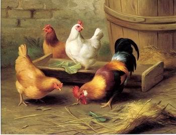 unknow artist Cocks 134 France oil painting art